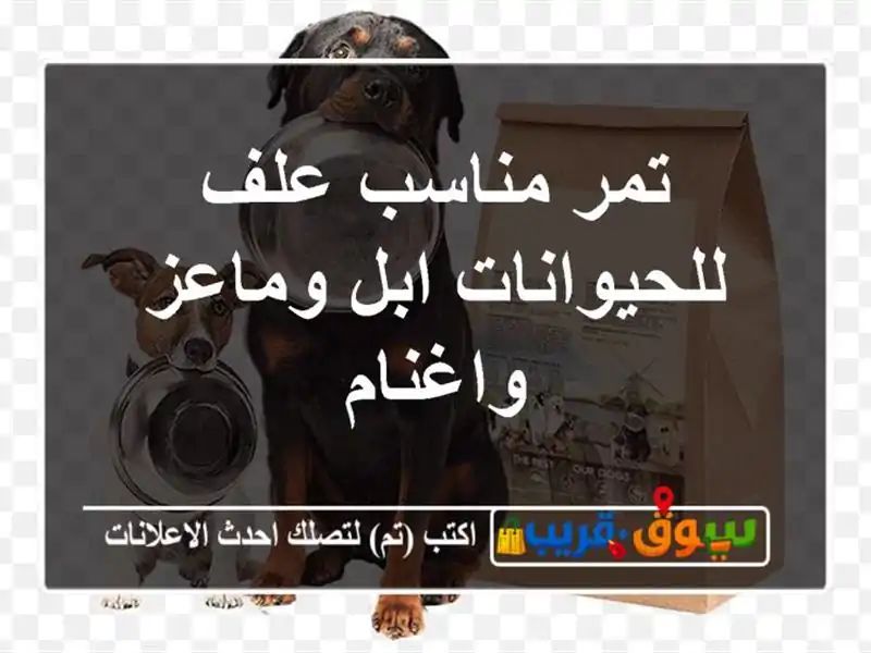 تمر مناسب علف للحيوانات ابل وماعز واغنام
