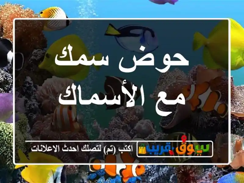حوض سمك مع الأسماك