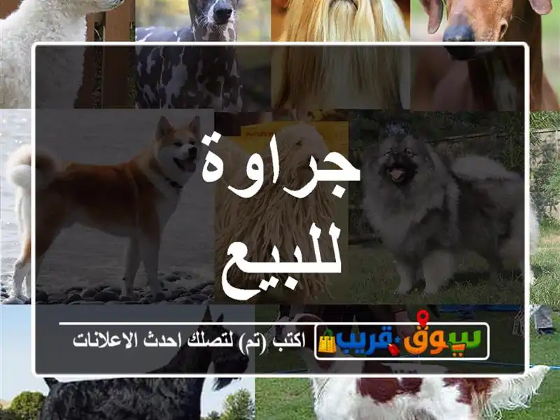 جراوة للبيع