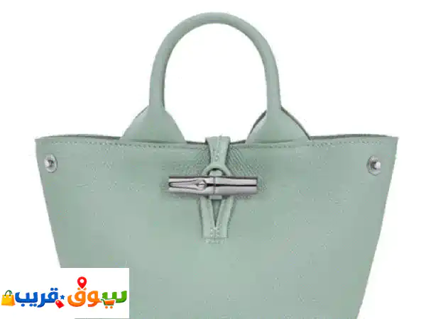 Longchamp Le Roseau S celadon green handbag