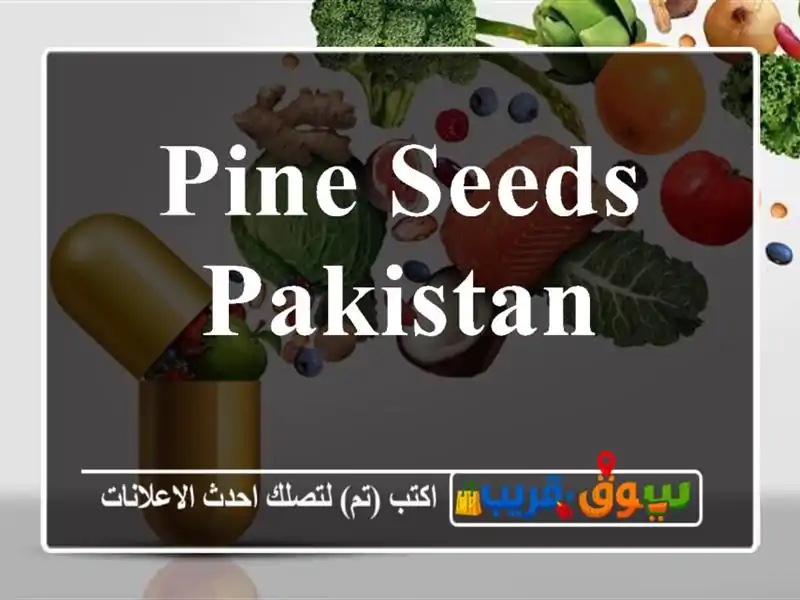 Pine Seeds Pakistan
