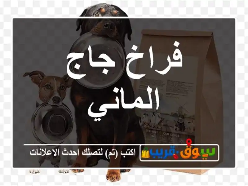 فراخ جاج الماني