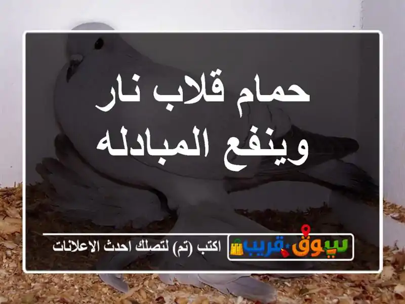 حمام قلاب نار وينفع المبادله