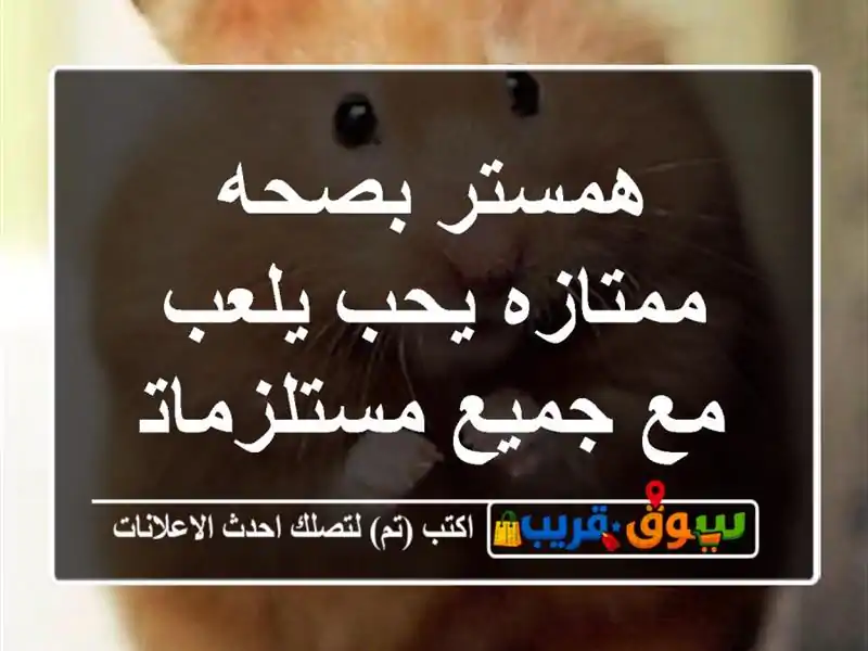 همستر بصحه ممتازه يحب يلعب مع جميع مستلزماته