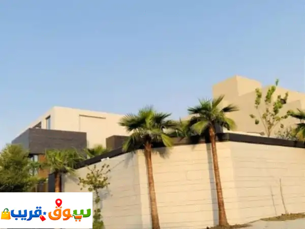 نخل واشنطن وعربي جميع المقاسات الموقع أرياض للتواصل