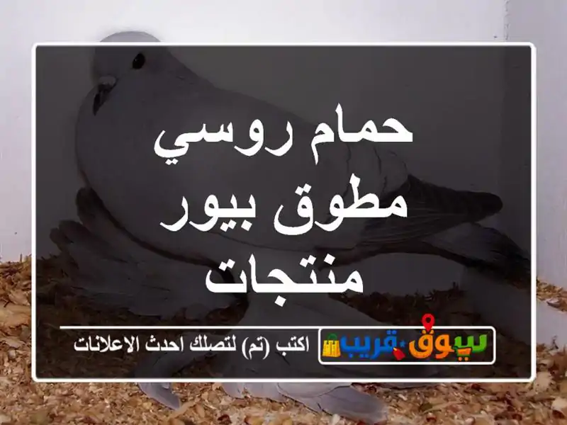 حمام روسي مطوق بيور منتجات