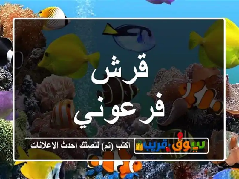 قرش فرعوني