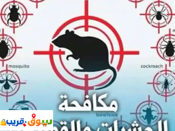 شركة مكافحة حشرات في الرياض شركة مكافحة حشرات...