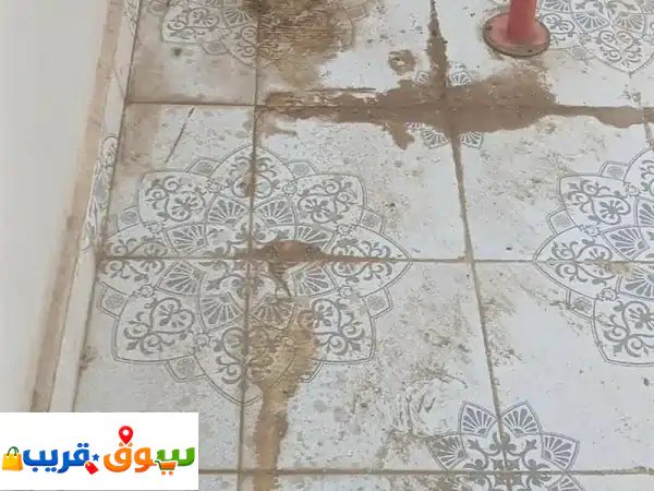 تنظيف المزارع والبساتين ازالة الحشائش الضارة والأعشاب اليا بسة وتنظيف الأرض بالكامل