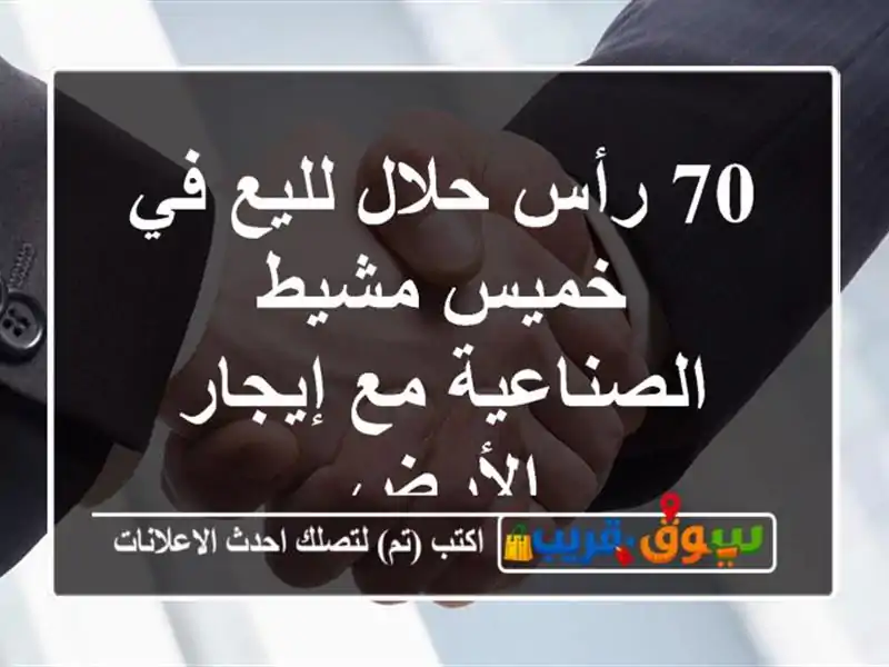 70 رأس حلال لليع في خميس مشيط الصناعية مع إيجار الأرض