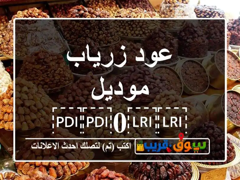 عود زرياب موديل ⁦⁦0⁩⁩