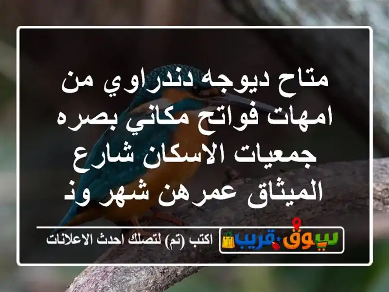 متاح ديوجه دندراوي من امهات فواتح مكاني بصره...