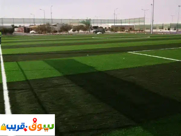ملاعب برو: تأسيس, تجهيز وصيانة الملاعب الرياضية | عشب صناعي, مطاط و حلول متكاملة