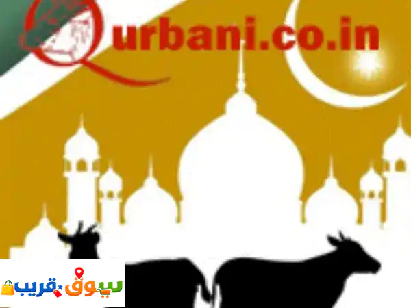 أضحيتك في الهند بأمان: قرباني يطعم آلاف المحتاجين |...