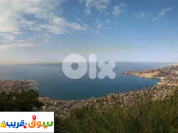 نقل اثاث auto ali توضيب وتغليف movers transport