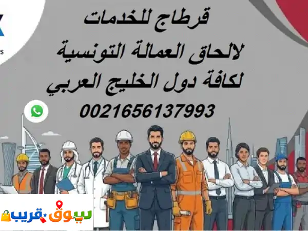 شركة قرطاج تونس: استقدام العمالة التونسية للخليج...