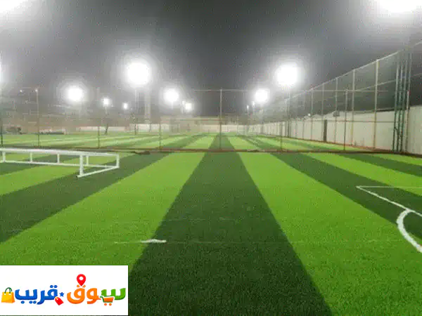 ملاعب برو: خبراء العشب الصناعي والملاعب الرياضية...