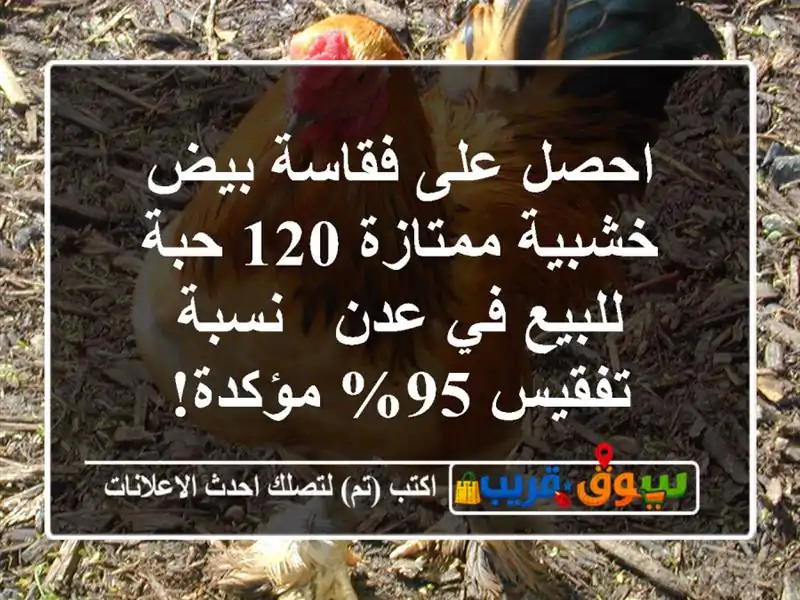 احصل على فقاسة بيض خشبية ممتازة 120 حبة للبيع في عدن...