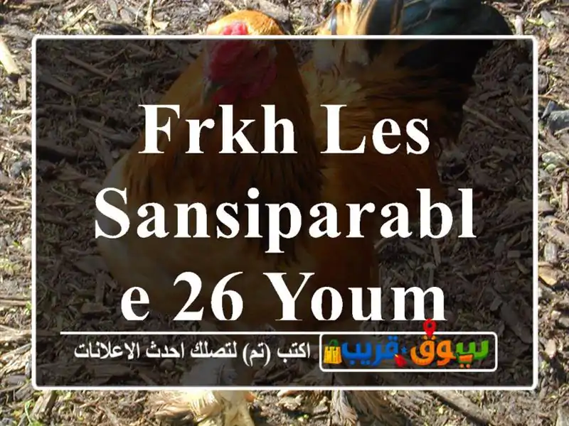 frkh les sansiparable 26 youm lldrisag