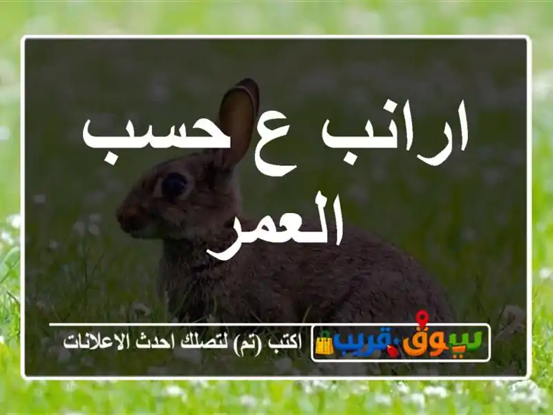 ارانب ع حسب العمر