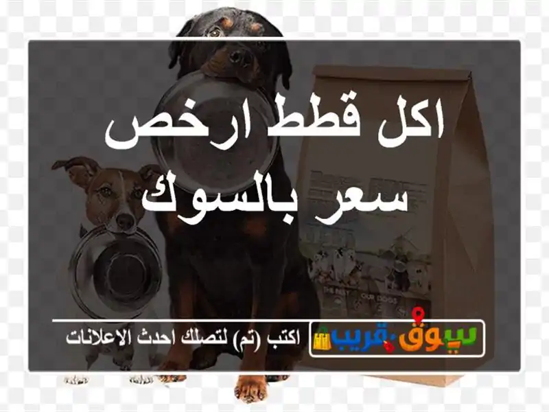 اكل قطط ارخص سعر بالسوك