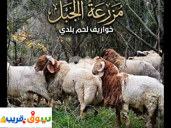 خواريف