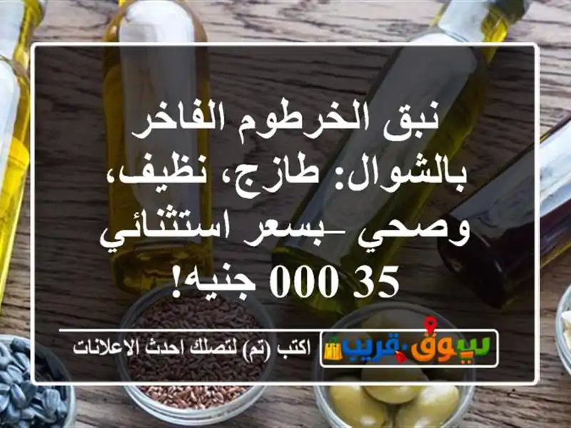نبق الخرطوم الفاخر بالشوال: طازج، نظيف، وصحي –...