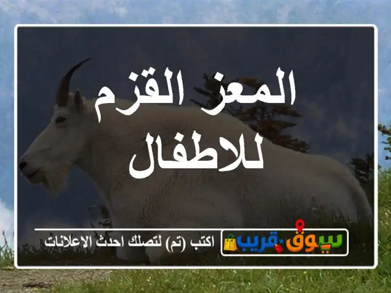 المعز القزم للاطفال