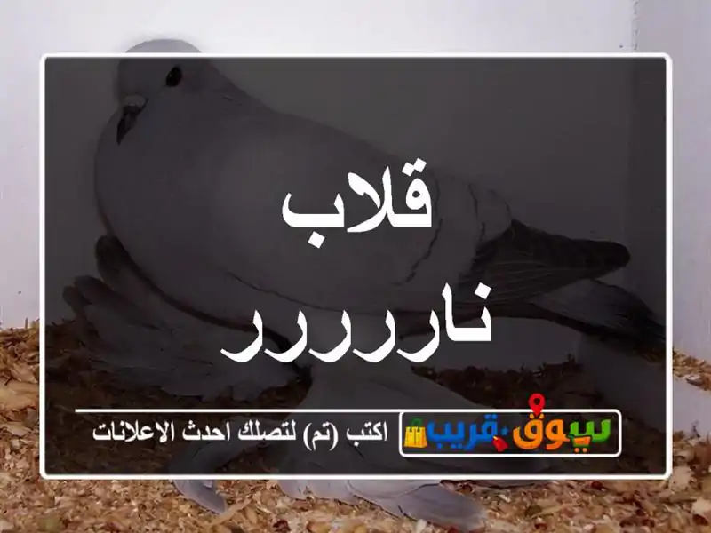 قلاب ناررررر