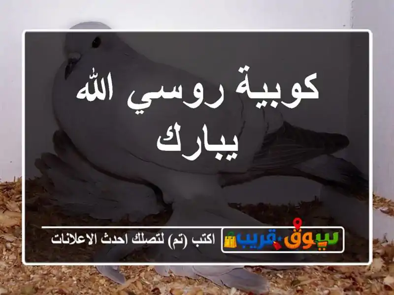 كوبية روسي الله يبارك