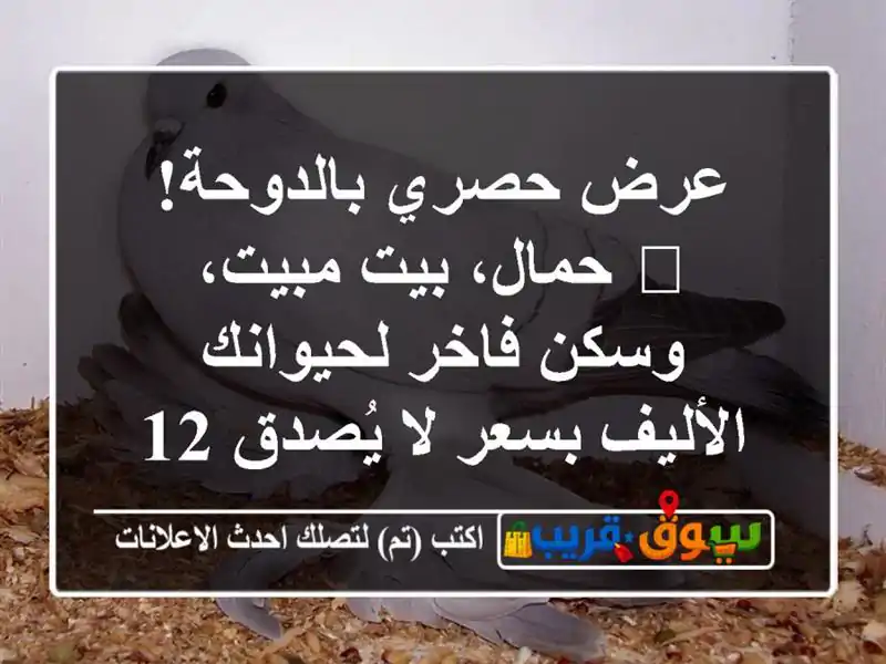 عرض حصري بالدوحة! 🐾 حمال، بيت مبيت، وسكن فاخر...