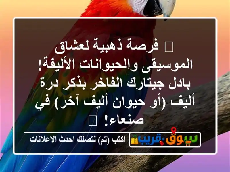 🎸 فرصة ذهبية لعشاق الموسيقى والحيوانات الأليفة!...