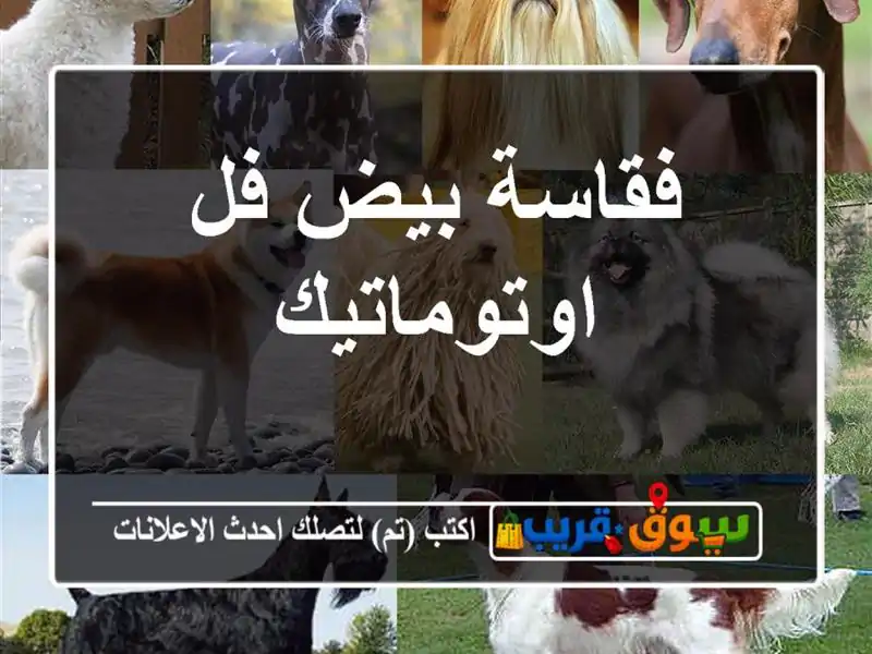 فقاسة بيض فل اوتوماتيك
