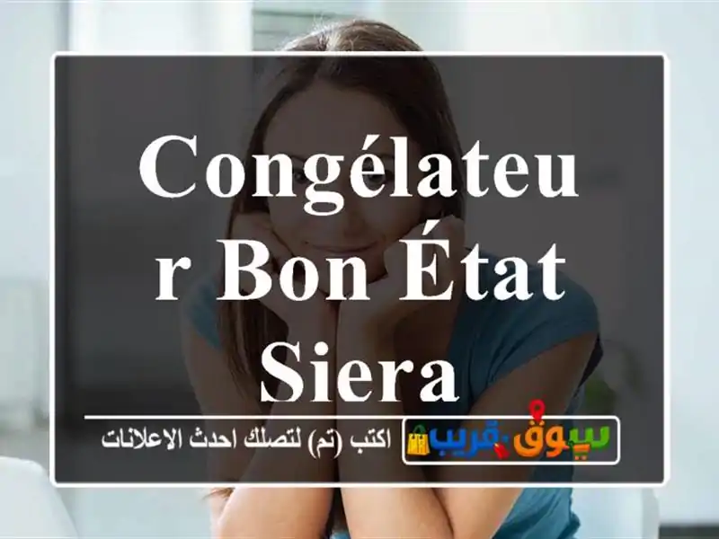 congélateur bon état siera