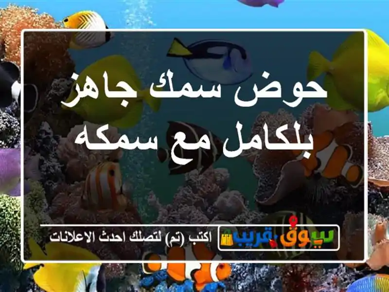 حوض سمك جاهز بلكامل مع سمكه