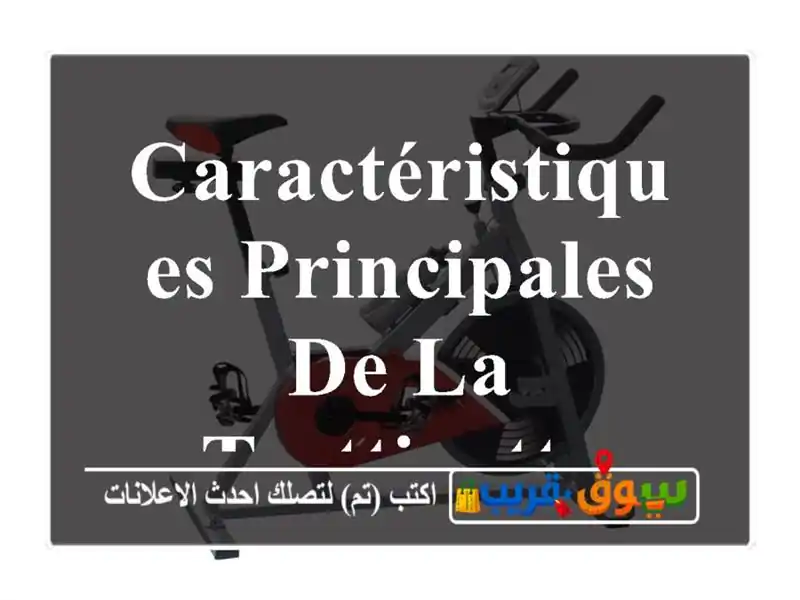 Caractéristiques principales de la trottinette