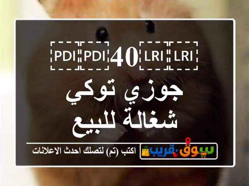 ⁦⁦40⁩⁩ جوزي توكي شغالة للبيع