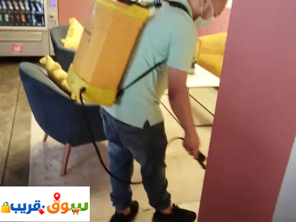 شركة صفوة متخصصة في مكافحة الحشرات والنمل...