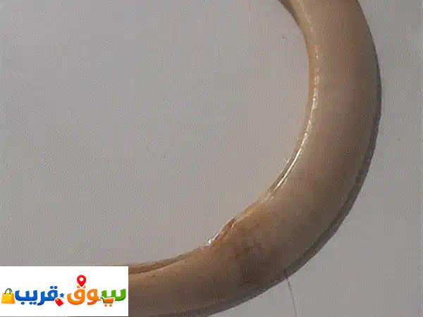 قلادة الناب القديم