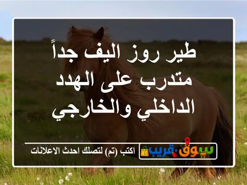طير روز اليف جداً متدرب على الهدد الداخلي والخارجي