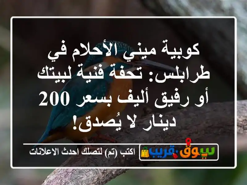كوبية ميني الأحلام في طرابلس: تحفة فنية لبيتك أو...