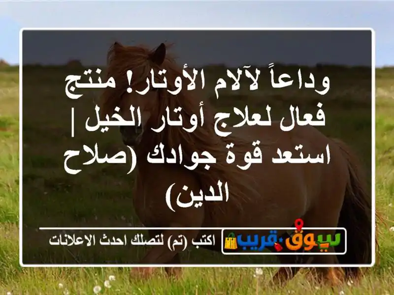 وداعاً لآلام الأوتار! منتج فعال لعلاج أوتار الخيل...