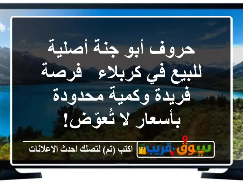 حروف أبو جنة أصلية للبيع في كربلاء - فرصة فريدة...