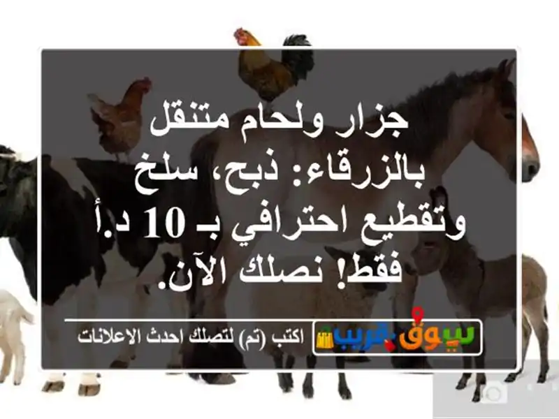 جزار ولحام متنقل بالزرقاء: ذبح، سلخ وتقطيع احترافي...