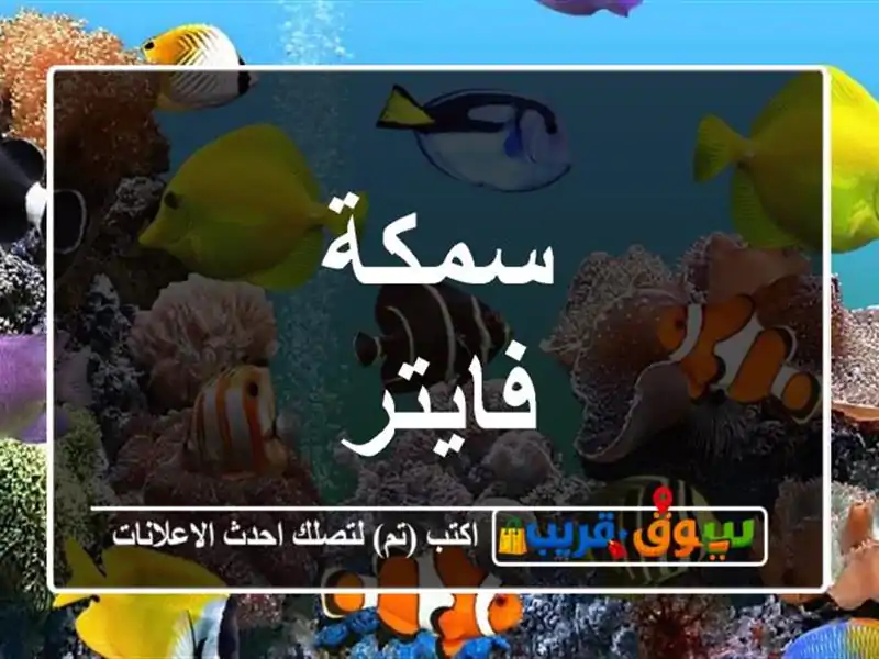 سمكة فايتر