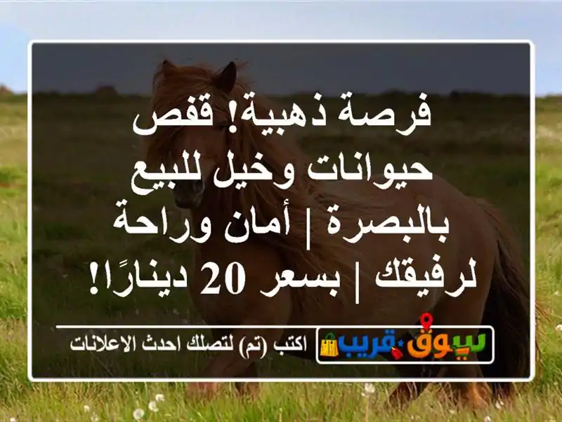 فرصة ذهبية! قفص حيوانات وخيل للبيع بالبصرة | أمان...