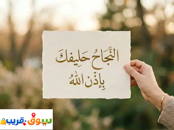 استعد للاختبارات النهائية بأفضل أسلوب تعليمي معلم لغة عربية، انجليزية، ورياضيات للمرحلة الابتدائية ...