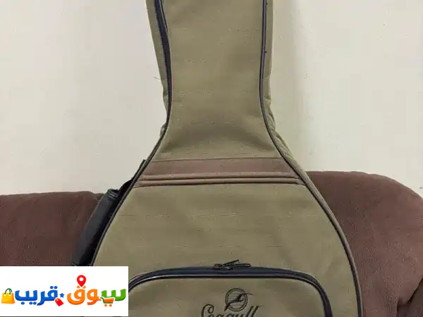 جيتار Seagull Entourage Mini Jumbo Rustic كندي جديد | صوت مبهر، جودة كندية أصلية