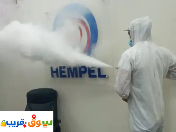 أفضل شركة مكافحة حشرات بجدة بضمان | وداعاً للآفات نهائياً!