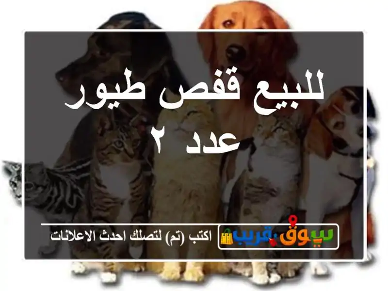 للبيع قفص طيور عدد ٢